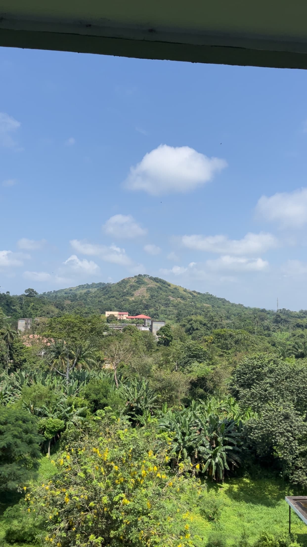 Green hills and vegetation from balcony view